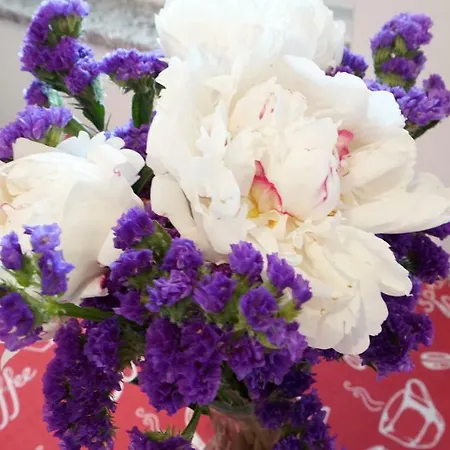 Apartman Ana Vinjerac