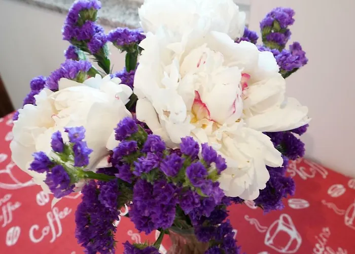 Apartman Ana Vinjerac